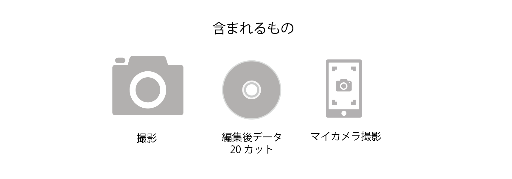 含まれているもの