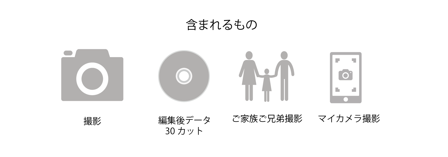 含まれているもの