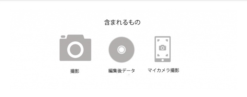 含まれているもの